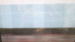 2014.04.01 第2357次區間車[基隆發縱貫線(北段)經由嘉義開行]樹林-新豐窗景Part1