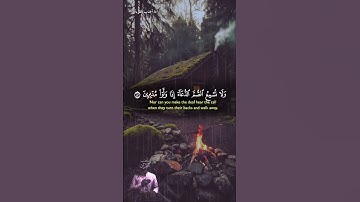قرآن كريم #coran #قرآن #المنشاوي #تيك_توك #اكسبلور #لايك قرآن#الدوسري_تلاوة_خاشعة