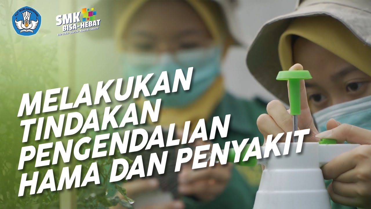 Melakukan Tindakan Pengendalian Hama dan Penyakit - Agribisnis Tanaman