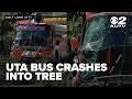 UTA bus operator loses consciousness, crashes into tree in Clearfield