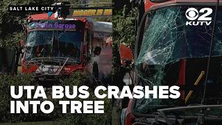 UTA bus operator loses consciousness, crashes into tree in Clearfield