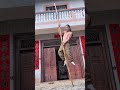 Bamboo pole climbing kung fu practice process