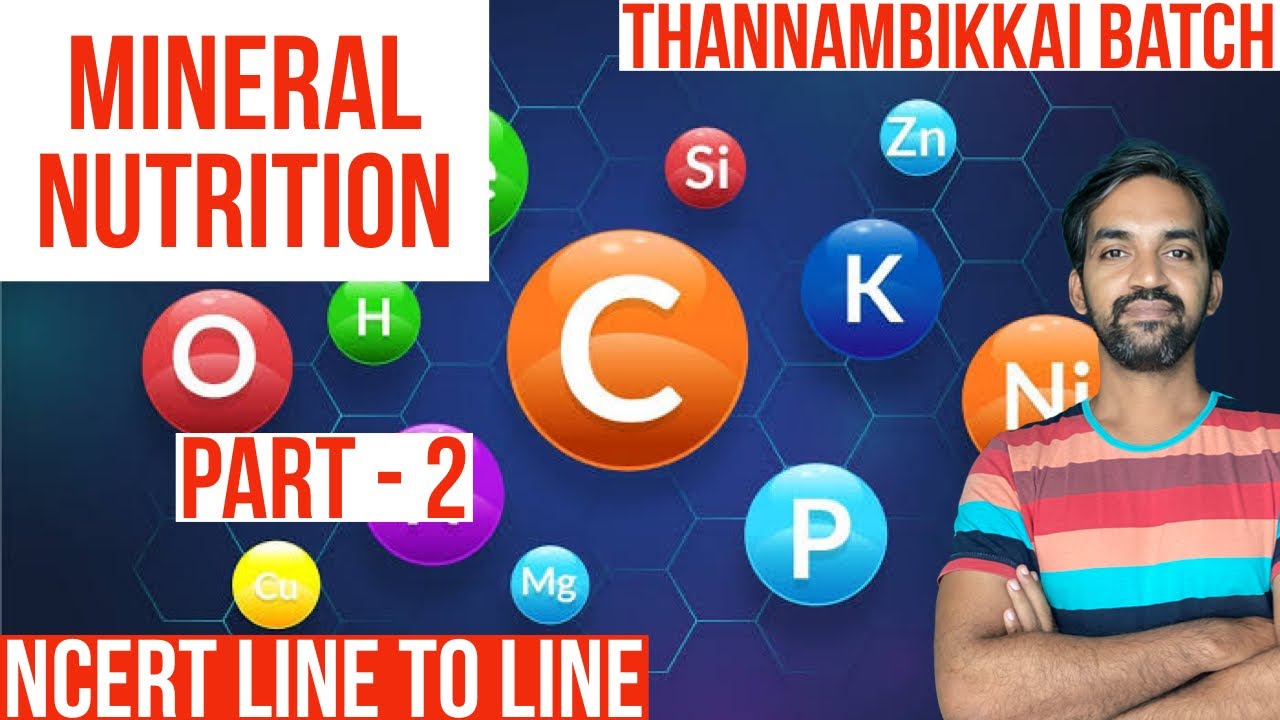 Mineral Nutrition | Part 2 | Thannambikkai Batch | NCERT LINE TO LINE ...