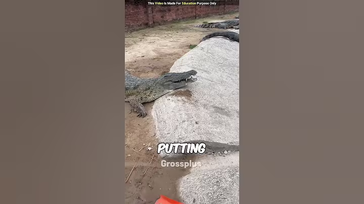 Crocodile farm #shorts #science