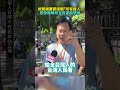 柯文哲羈押事件