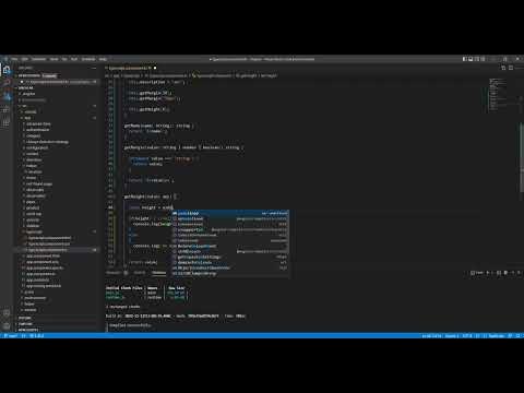 [Angular] Ep18B - Typescript - Type, Optional Chaining, Dynamic Type ...