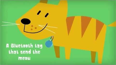 NovoSIP & Meowbox - home automation, SIP door phone and pets accessories