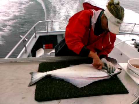 How to Fillet Halibut - Jessica - Perseverance, Se...