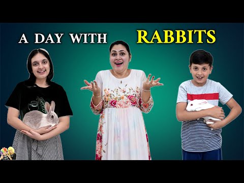 A DAY WITH RABBITS | Rabbits control our day for 24 hours | Surprise Gift | Aayu and Pihu Show