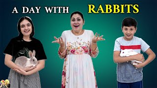 A DAY WITH RABBITS | Rabbits control our day for 24 hours | Surprise Gift | Aayu and Pihu Show