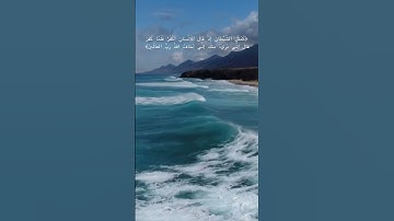 ماتيسر من سورة الحشر تلاوة رائعة #شريف_مصطفى #قران