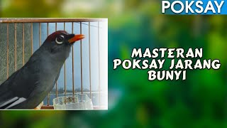 SUARA POKSAY MANDARIN MASTERAN POKSAY JARANG BUNYI DALAM 24 JAM