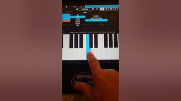 Jordan Rudess and Bleass SampleWiz 2 managed to get just what Danielle asked for