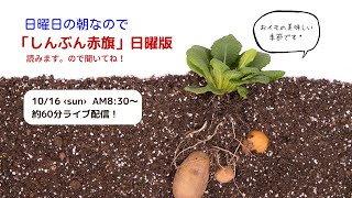 「しんぶん赤旗」日曜版を読みます。22.10.16　朝8時30分～