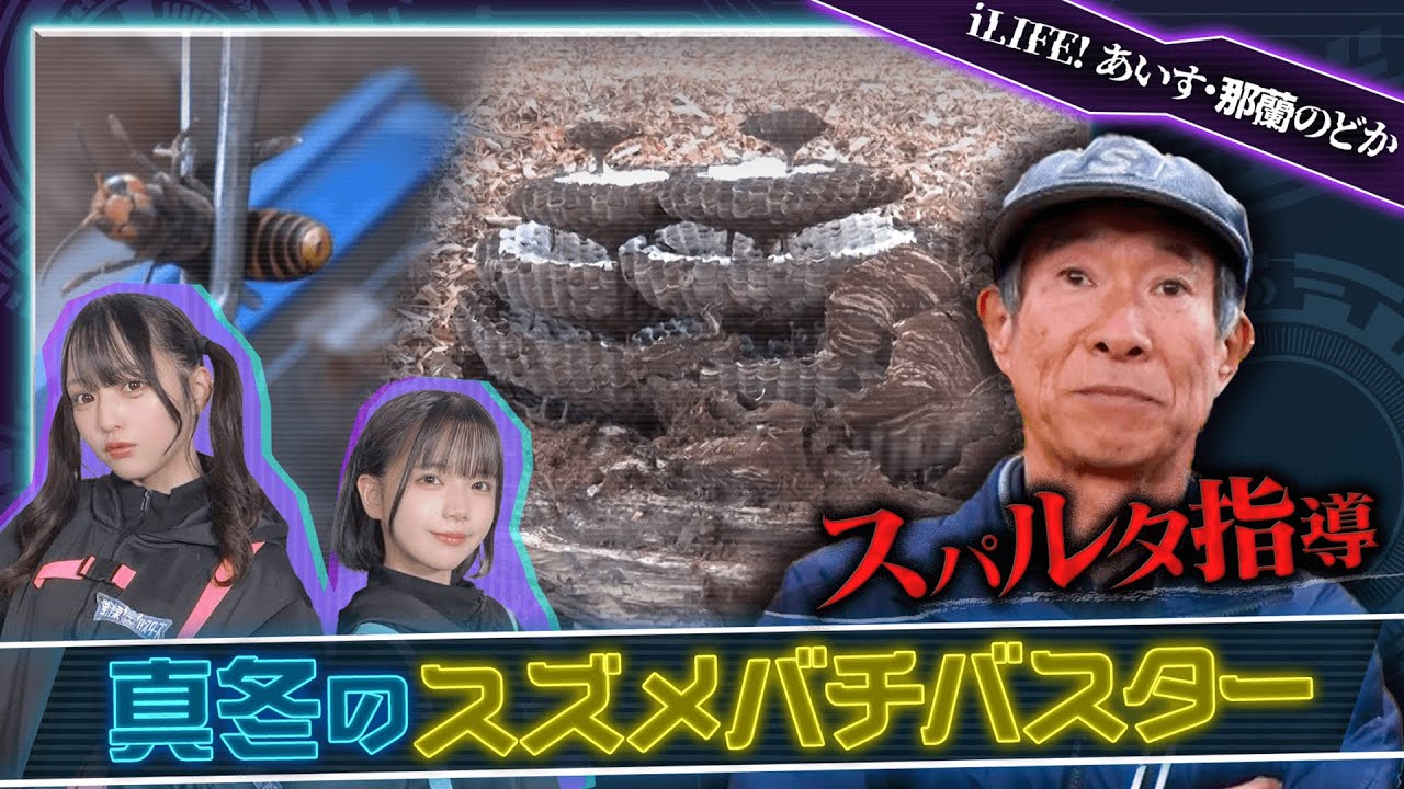 【戦慄バスターズ】駆除せよ！真冬のハチ軍団【iLiFE!あいす・那蘭のどか】