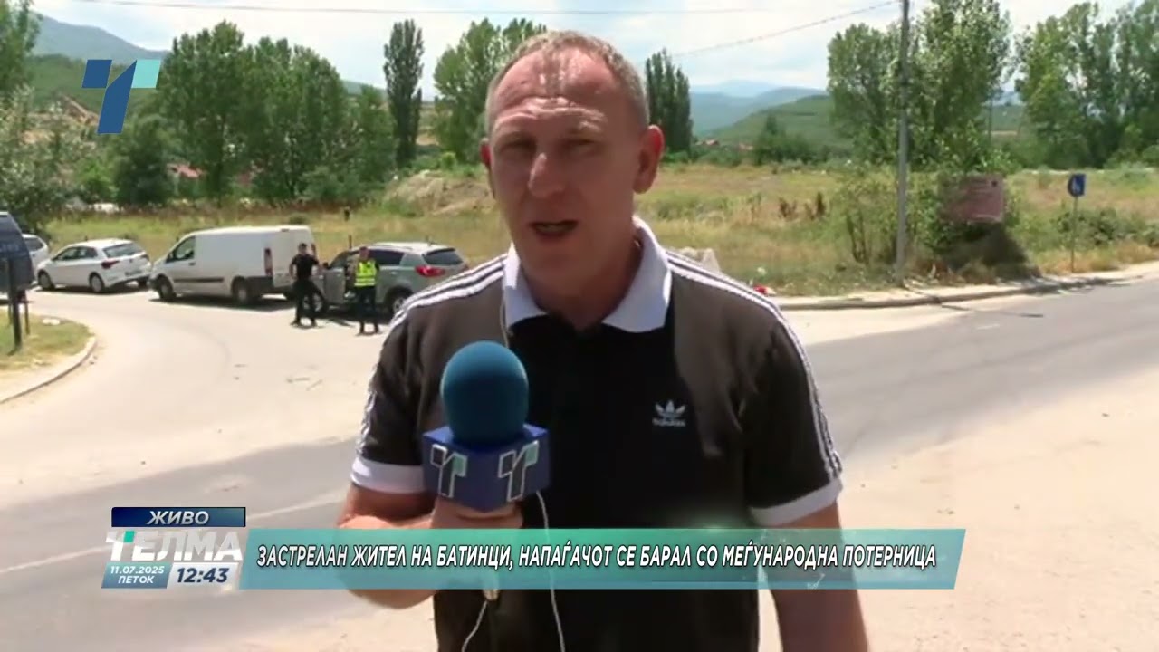 Пукање во Батинци