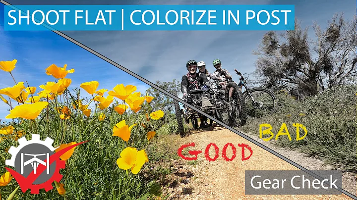 GEAR CHECK - Shoot Flat & Colorize in Post