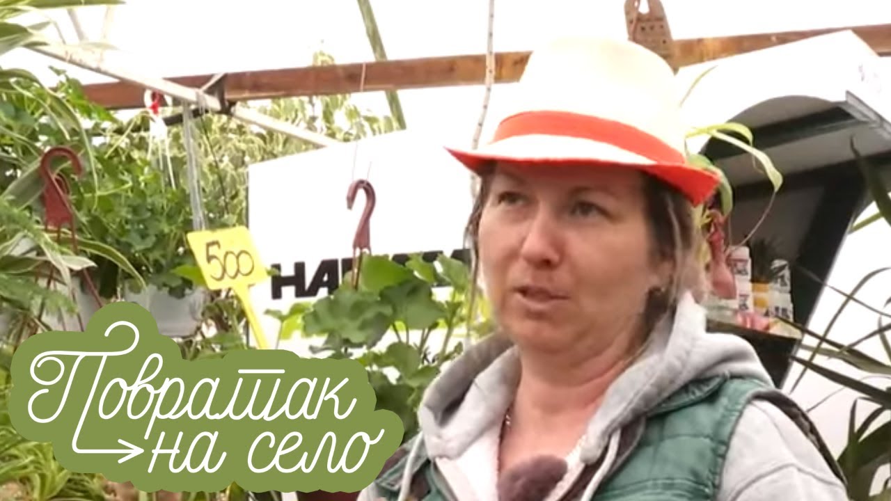 Rasadnik Sabo | POVRATAK NA SELO