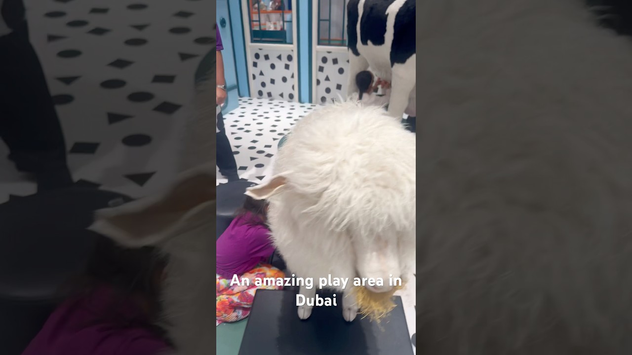 Exciting playarea for kids BOOBOOLAAND DUBAI  