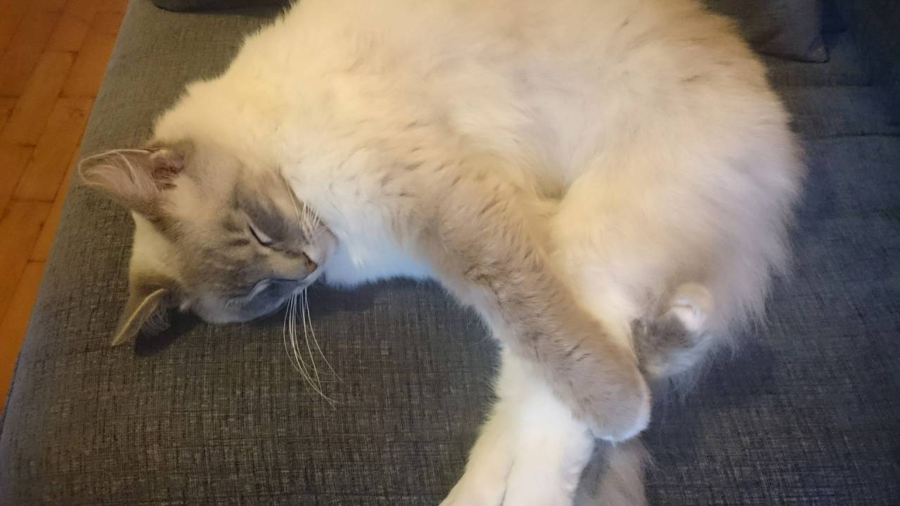 Thomas & Friends The Great Race Trackmaster Tidmouth Bridge Set