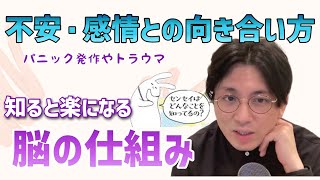 不安や感情との向き合い方休みの日が辛い　パニック発作やトラウマ　対処法は？脳の仕組み学ぶことで楽になる！　デフォルトモードネットワークって何？　精神科医がこころの病気を解説するch