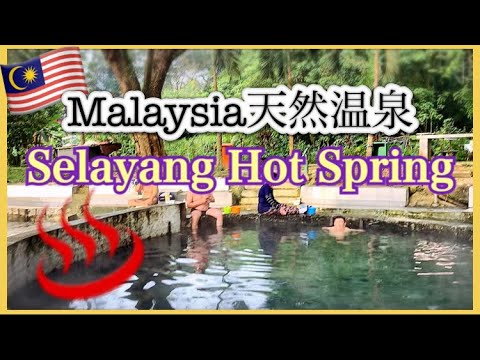 【天然温泉】Selayang Hot Spring in Malaysia ジャングルの中にこんな最高な天然温泉が #Malaysia #hotspring #マレーシア温泉