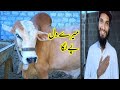 Palae Service Review By Muzzammil | ft. Cattle Market Karachi | AR Maani