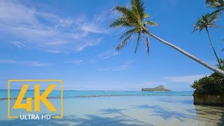 Oahu Beaches, Hawaii - 4K Nature Relax Video with Music (4 Hours) - Part 2