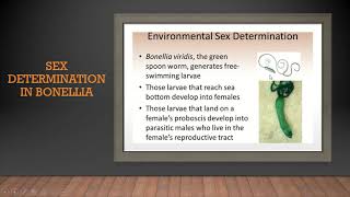 Inheritance and Variation Lecture 9