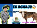 Rancho El Aguaje: Ex aguajes antes y después de su venta.