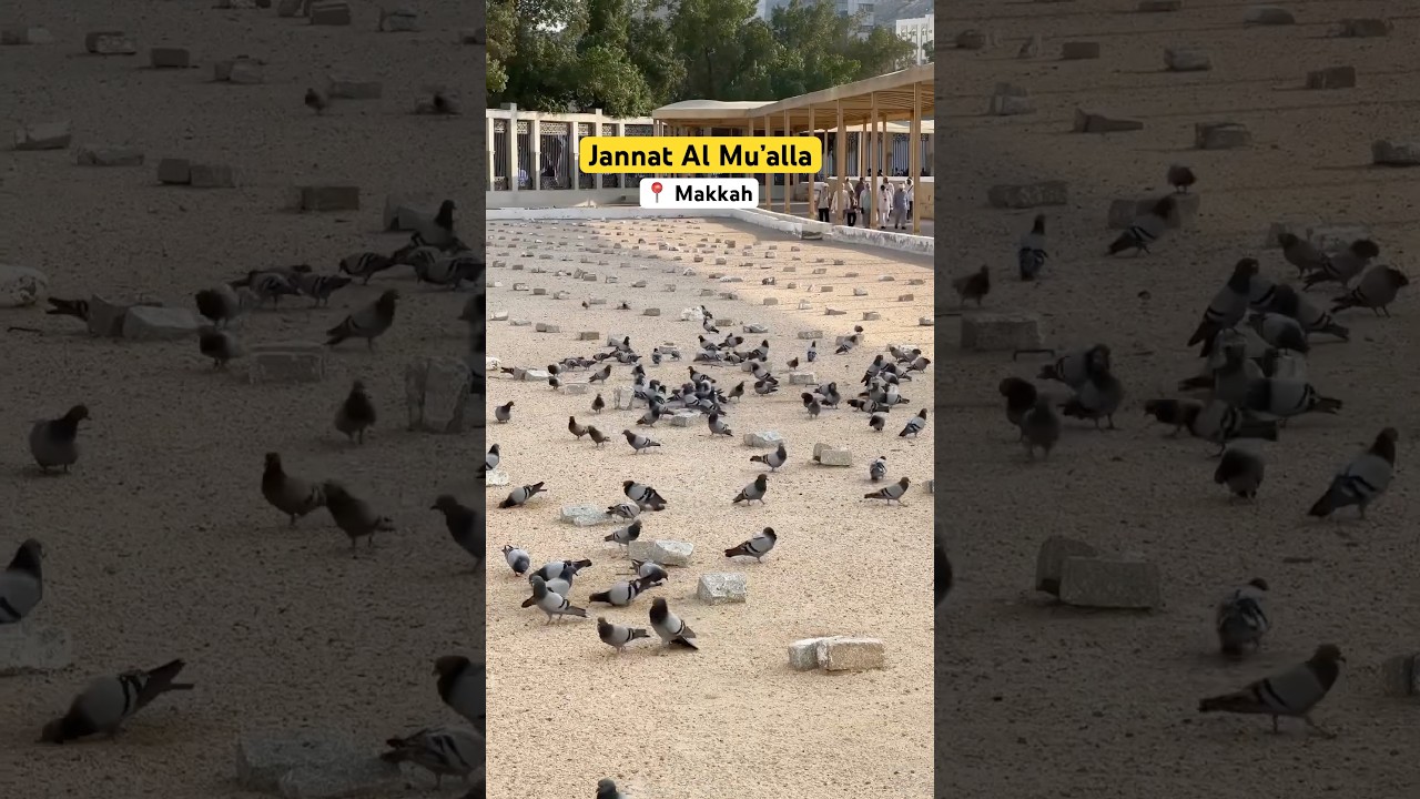 Jannat al-Mu&lsquo;alla, Makkah &mdash; a historic cemetery in Makkah