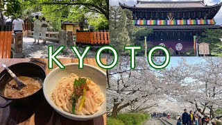 【KYOTO】10 Recommendations by Japanese local 2024【JAPAN】