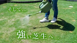 【強い芝生を育てる】つの条件とは?!【お手入れ年間計画】成長する特徴をいかした育て方