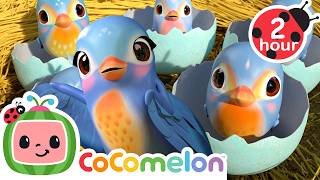 Five Little Birds 🐣🐦 | CoComelon | Sing Along | Learn about Animals