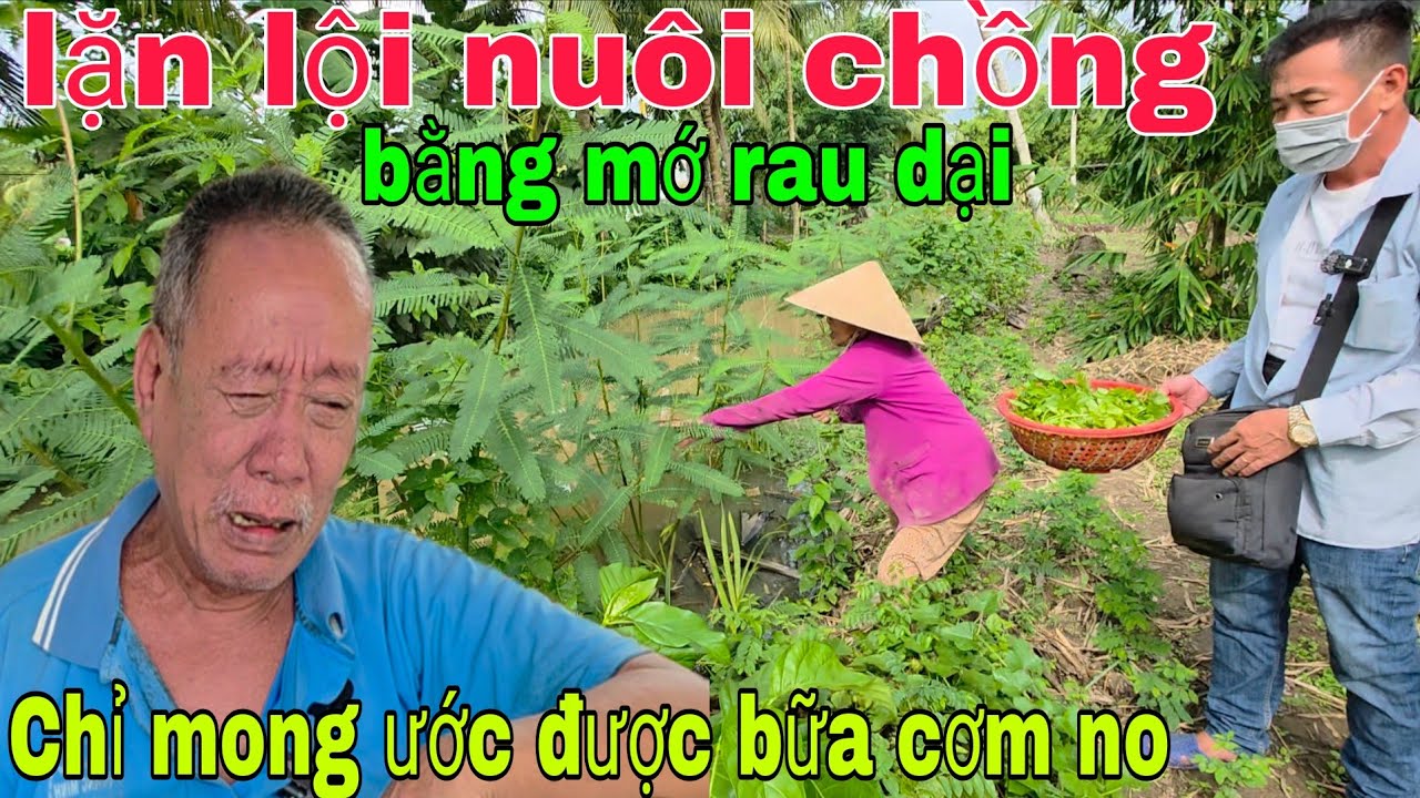Bà lão bệnh tật lặn lội nuôi chồng bằng mớ rau dại chỉ mong ước được bữa cơm no
