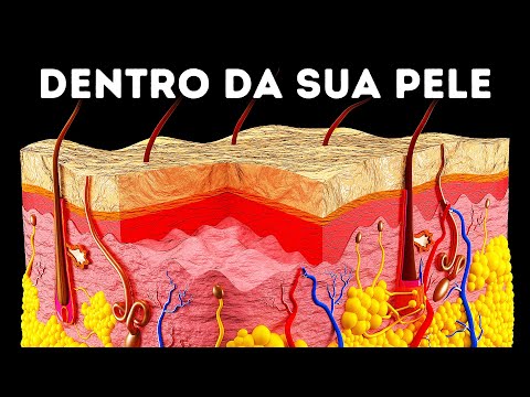 Vídeo: O que é pele líquida? Reparamos produtos de couro genuíno com nossas próprias mãos