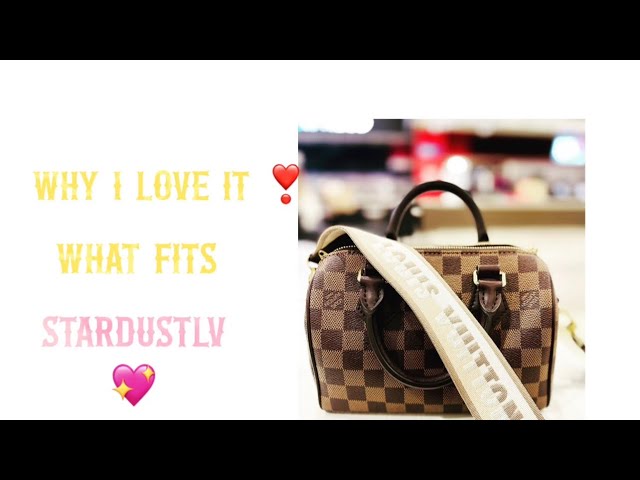 Louis Vuitton Speedy 20 Damier Ebene Unboxing Review! 😍 