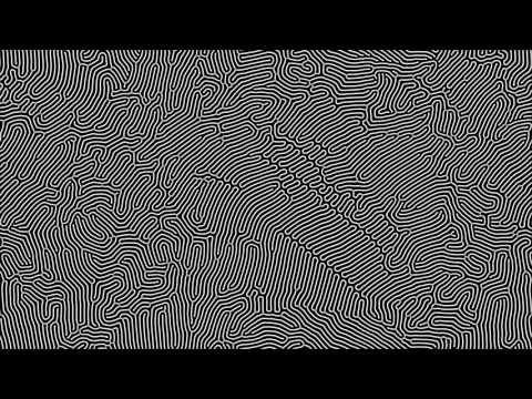 Reaction Diffusion Simulation in 4k
