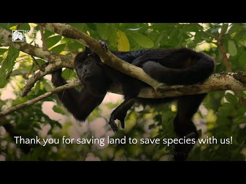 #YourConservationWins2021: The places you have saved through Buy an Acre