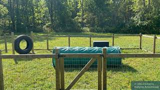 Newbridge Park (step3 - dog's training area)