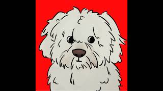 Spelunky streams till I beat it