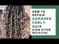 How To Repair Damaged Curly Hair & My Brief Thoughts On The DevaCurl Situation