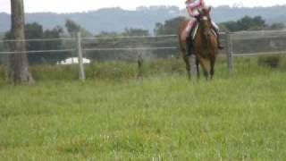 2 January 2010 177.avi