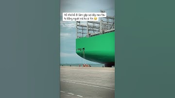 Về nhà kể đi làm gặp sợi dây neo tàu to bằng người mà không ai tin #logistics #container