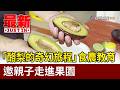「酪梨的奇幻旅程」食農教育 邀親子走進果園【最新快訊】