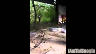 Stolen cars found in chop shop in the woods of Nj