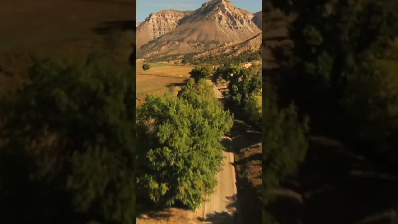 What Makes Our Community So Welcoming?