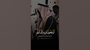 ادريس ابكر {وَاتَّقُواْ يَوْماً تُرْجَعُونَ فِيهِ إِلَى اللّهِ ..} الآية:281
