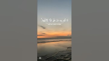 تلاوة خاشعة | #اكسبلور #istagfar #quran #راحة_نفسية #yasseraldossary #تلاوة_خاشعة #لايك #duet #دويتو