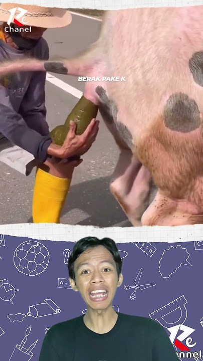 Rela memegang kotoran kerbau agar tidak mengotori jalan #youtubeshorts